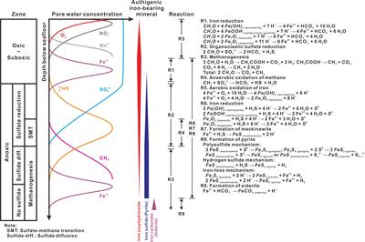 Iron species and sulfur isotopic compositions of authigenic pyrite in deep-sea sediments at southern Hydrate Ridge, Cascadia margin (ODP Leg 204): implications for non-steady-state depositional and diagenetic processes